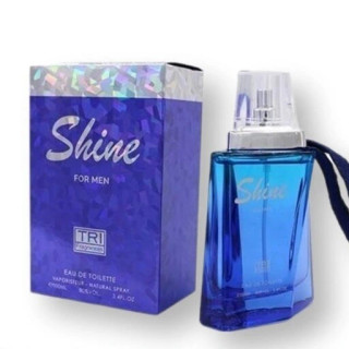 ادکلن shine آبی مردانه 100 میلی لیتر رایحه سرد و ملایم